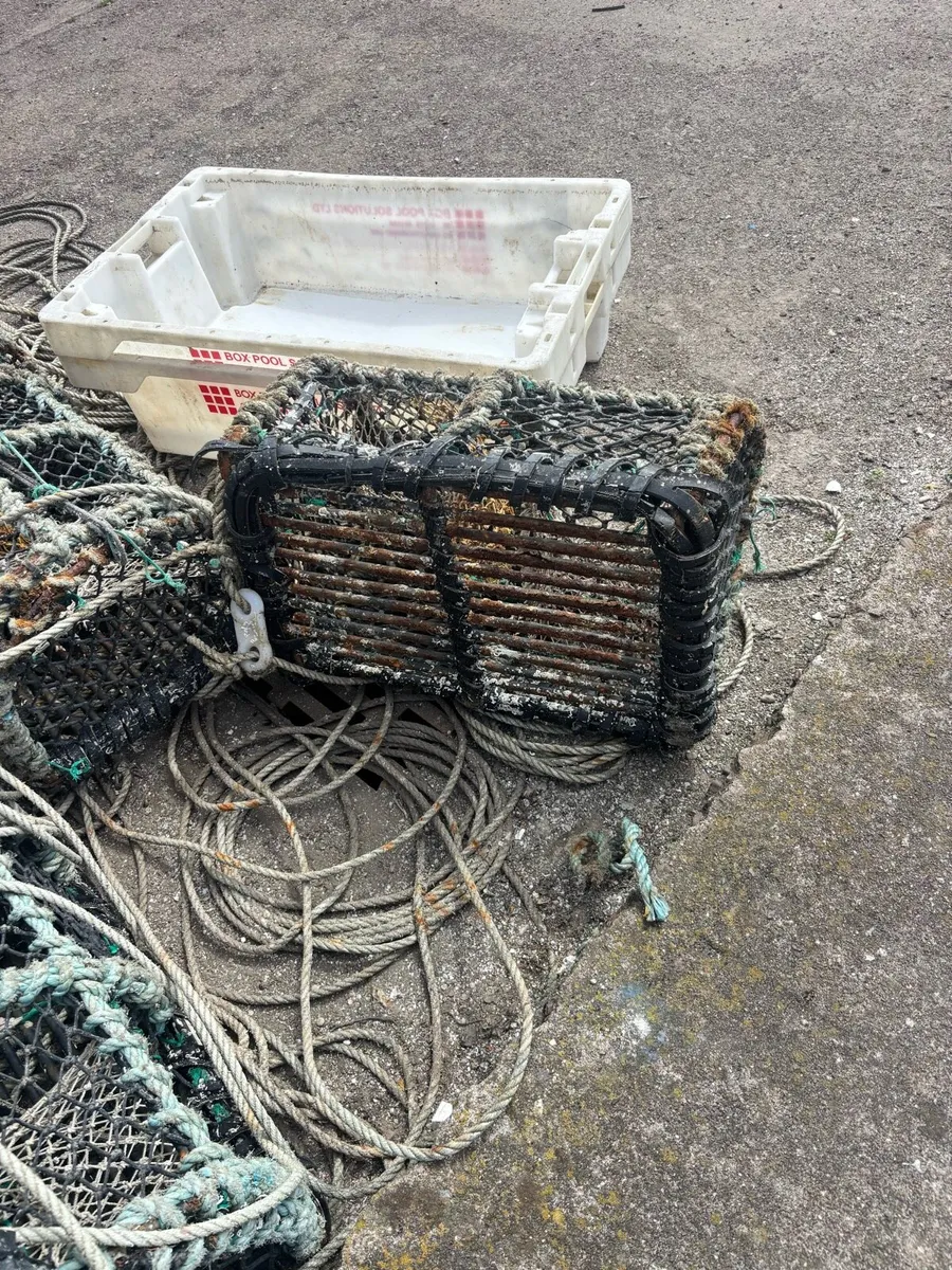 Lobster pots - Image 2