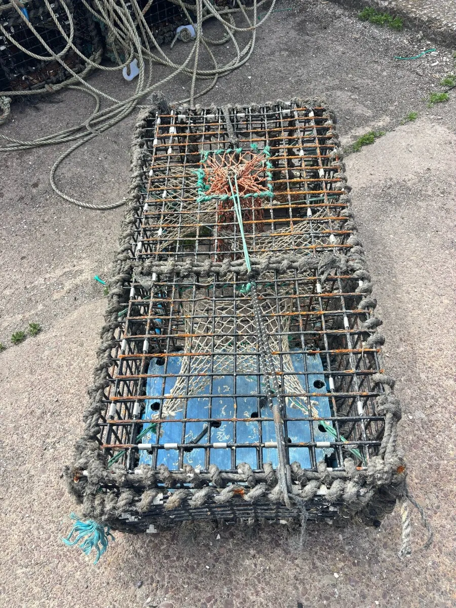 Lobster pots - Image 4