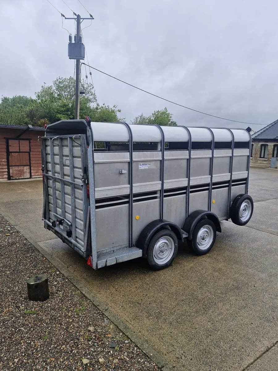 IforWilliams cattle trailer 6 wheeler tryaxle 2tra - Image 4