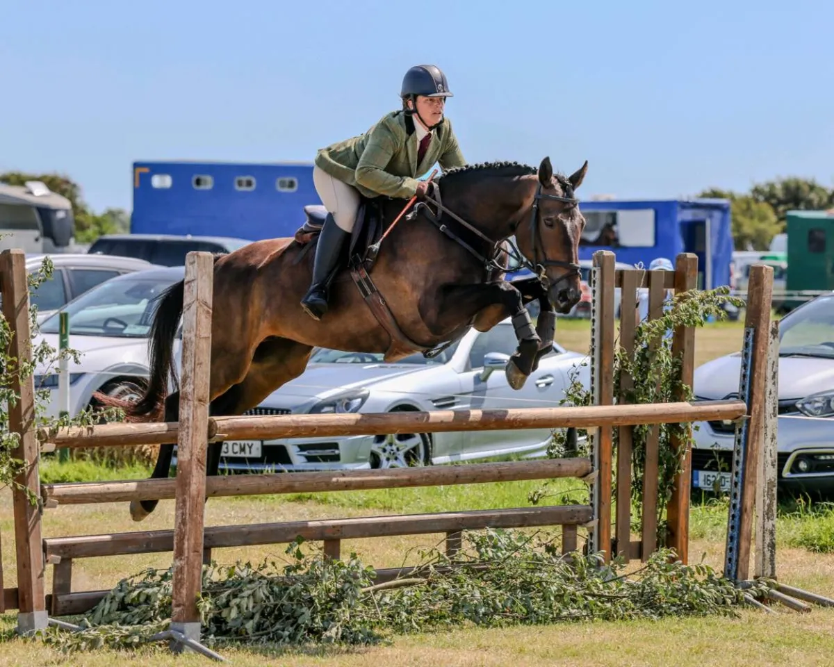 TIH - 9yr old Mare - Image 3