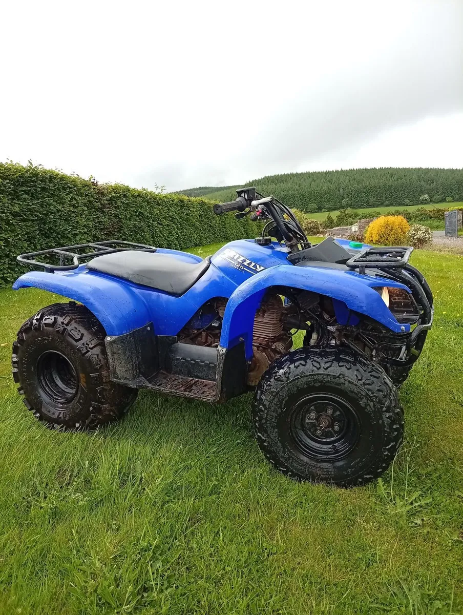Yamaha grizzly 125cc - Image 2