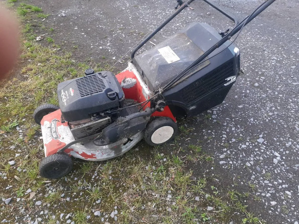 Drive mower - Image 2