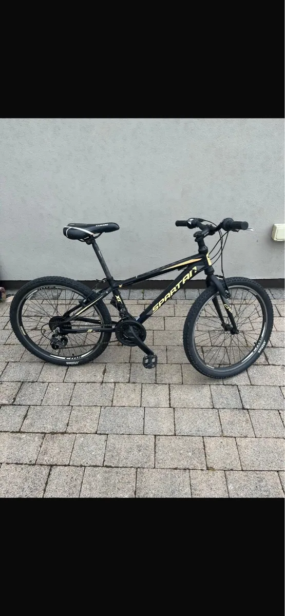 Spartan bike - Image 4