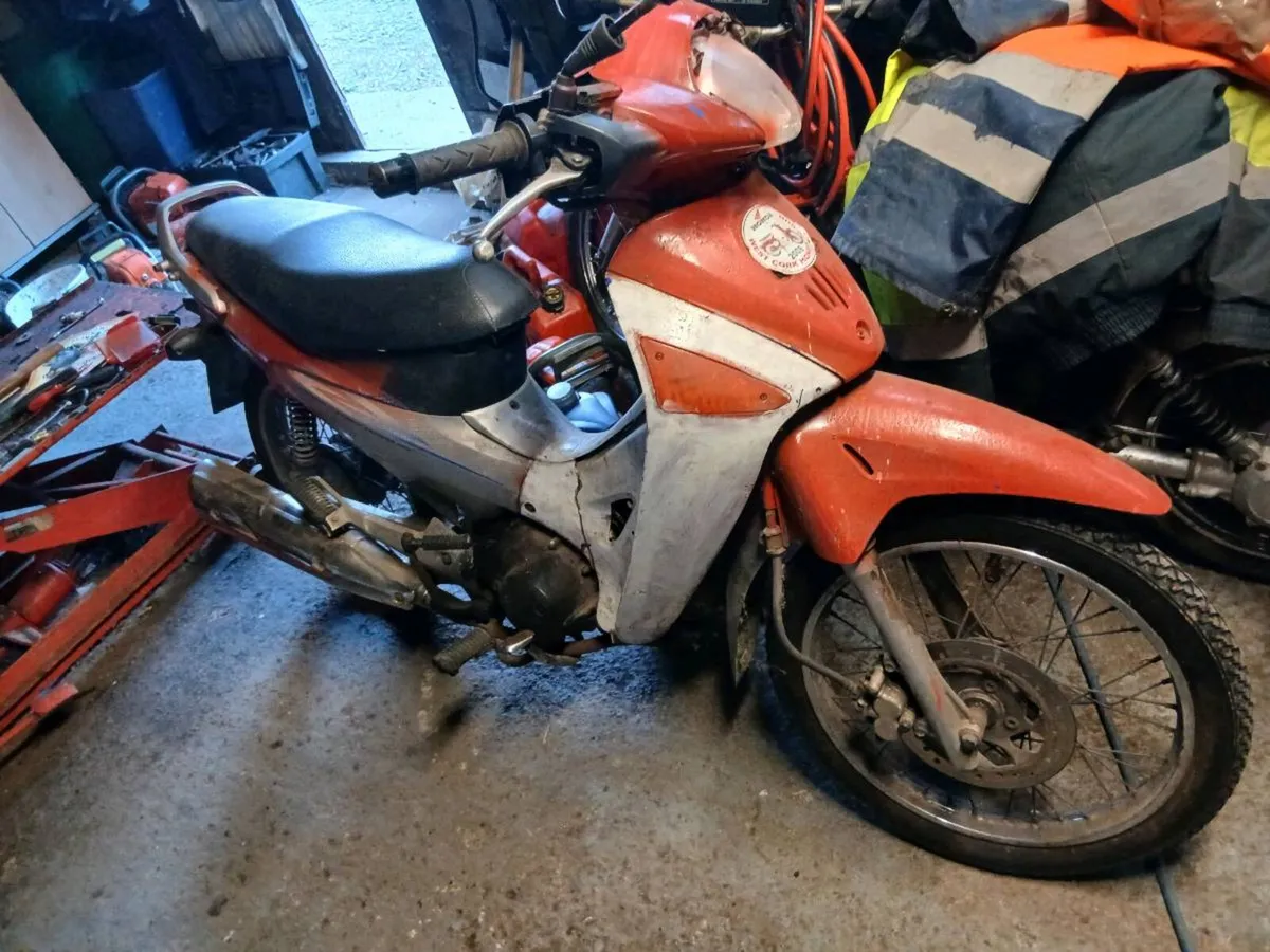 Suzuki 50 - Image 3