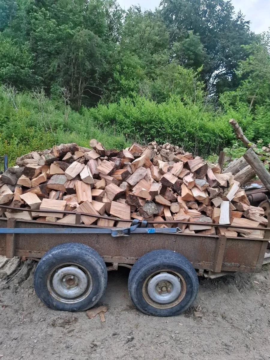 Firewood - Image 1