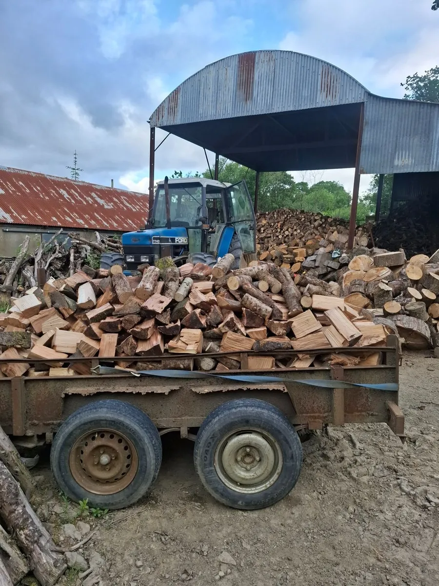 Firewood - Image 2