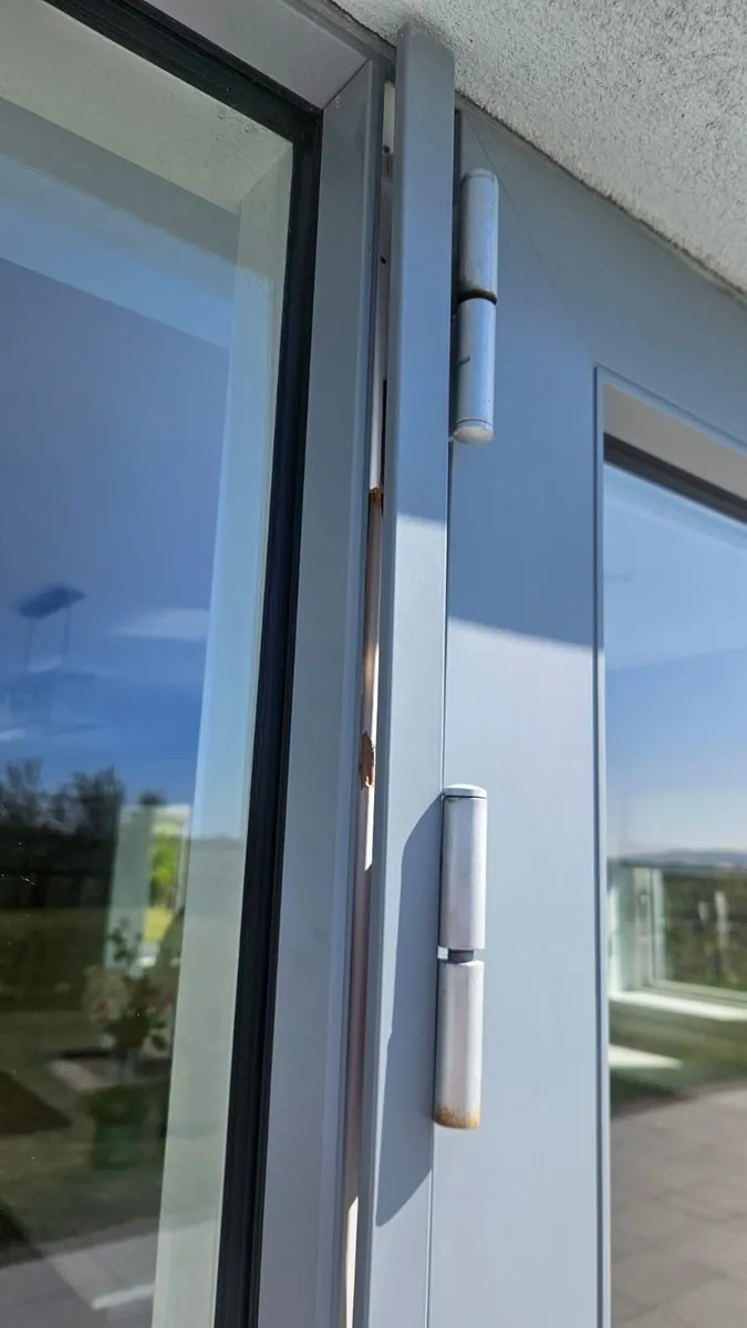 Aluclad Double Glazed Double Doors - Image 2