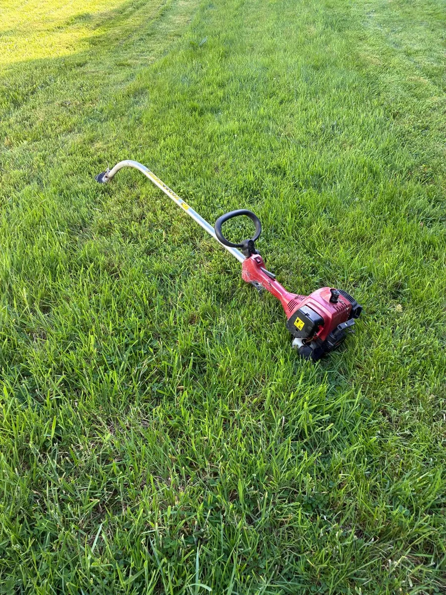 Petrol Strimmer - Image 3