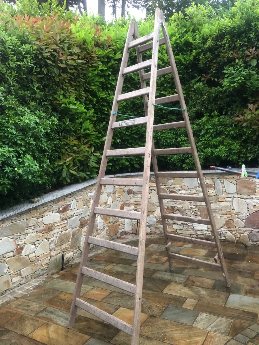 Painters ladder - Image 1