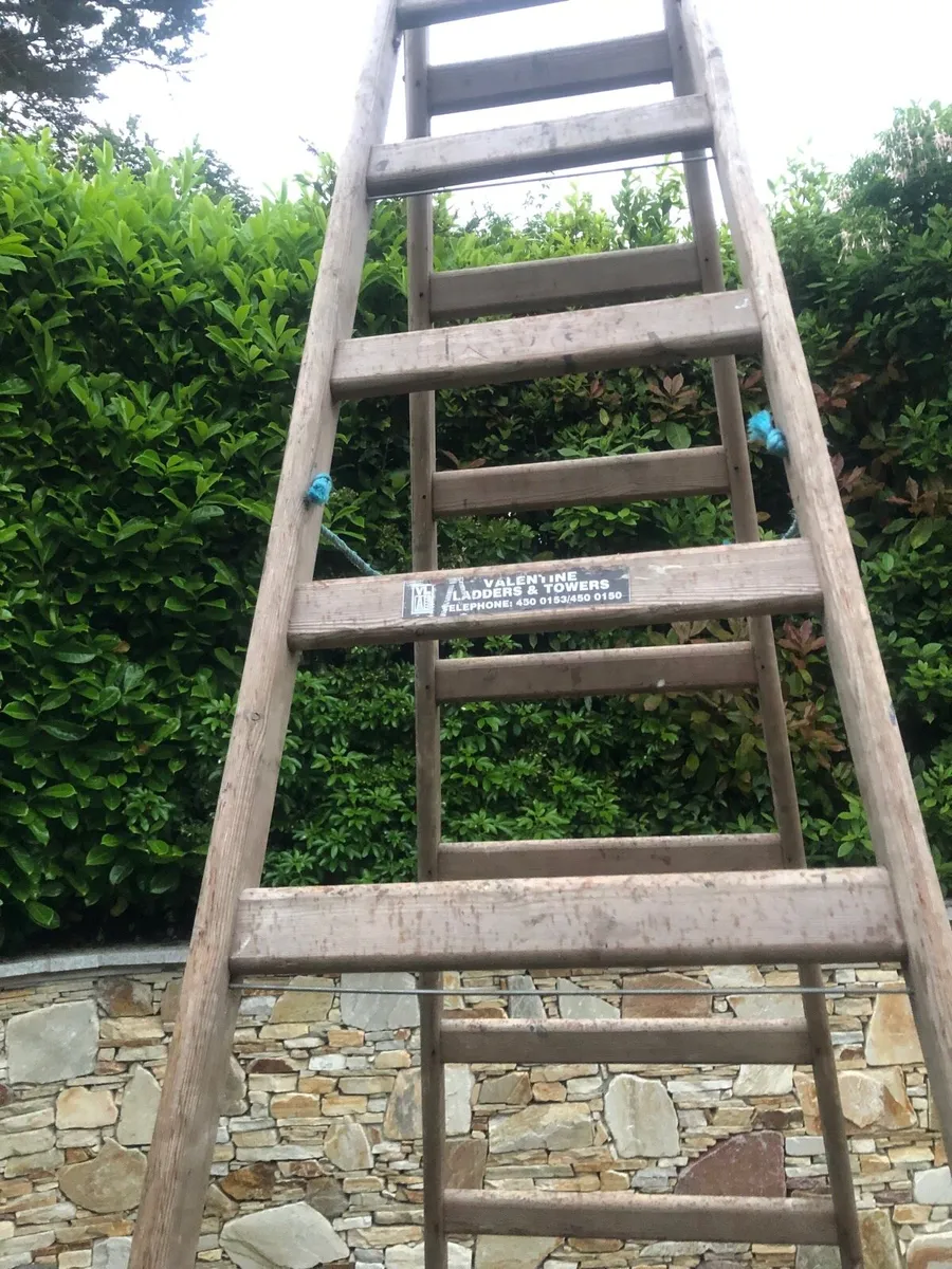 Painters ladder - Image 2
