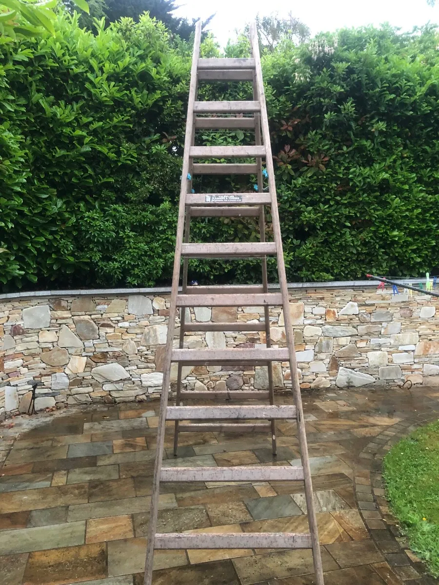 Painters ladder - Image 3