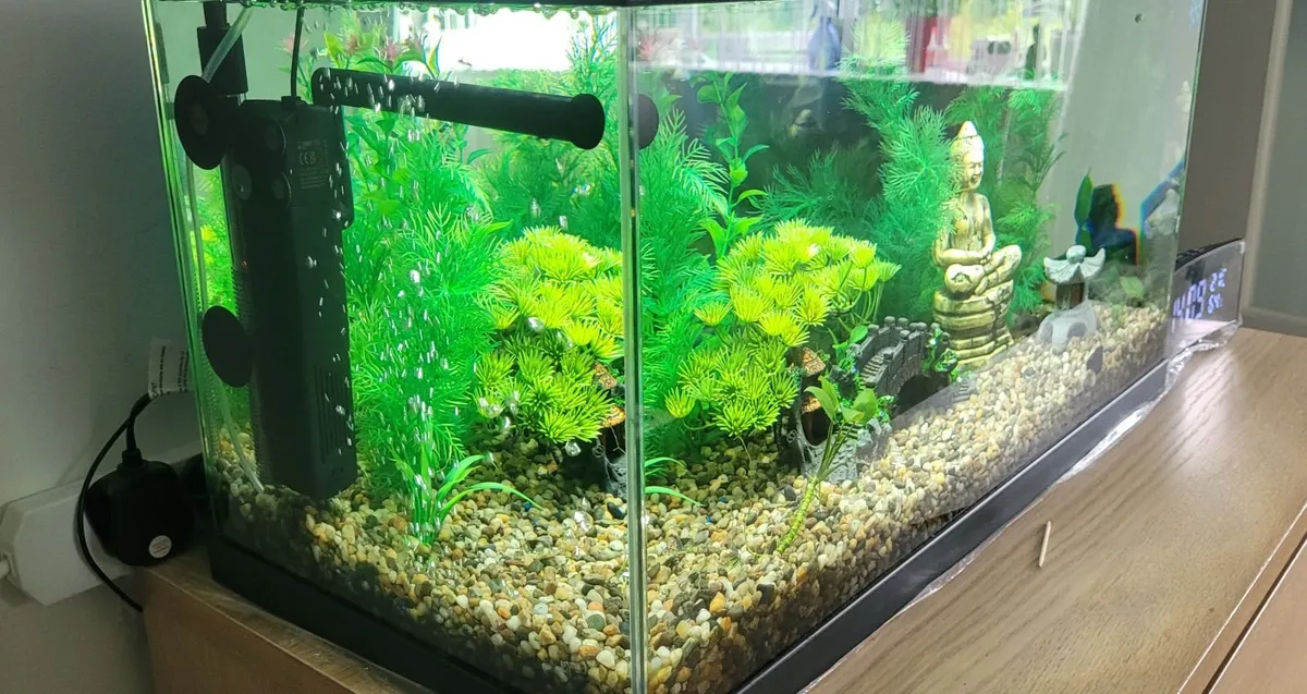 58L Ciano Aqua 60 Fish Tank Setup + Extras - Image 2
