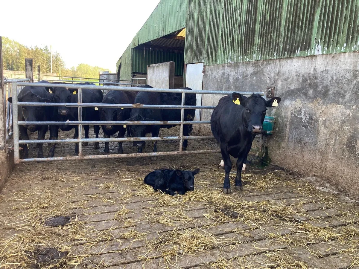 Slurry tank cleaning