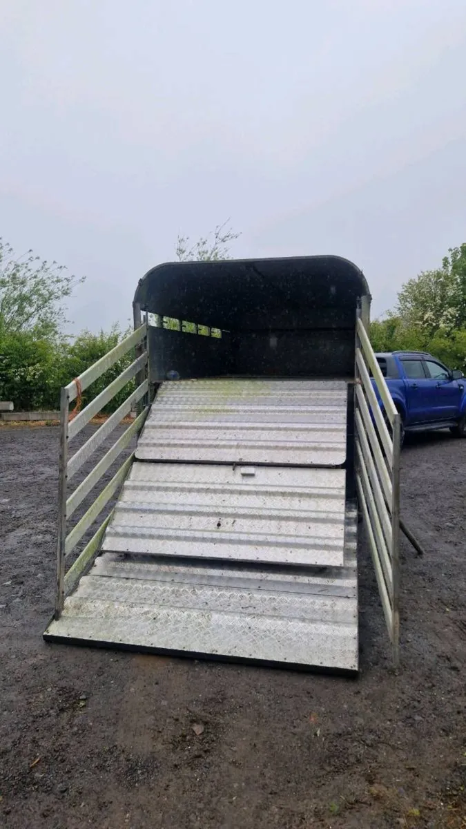 Sheep Body with Decks - Image 2