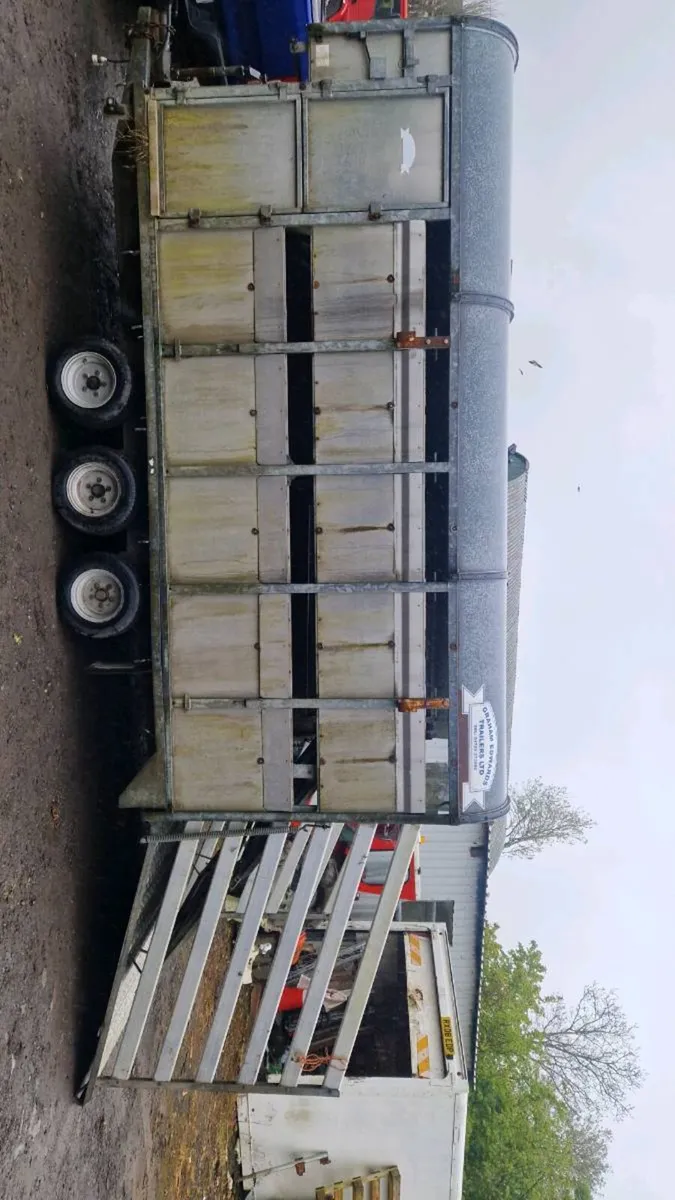 Sheep Body with Decks - Image 3