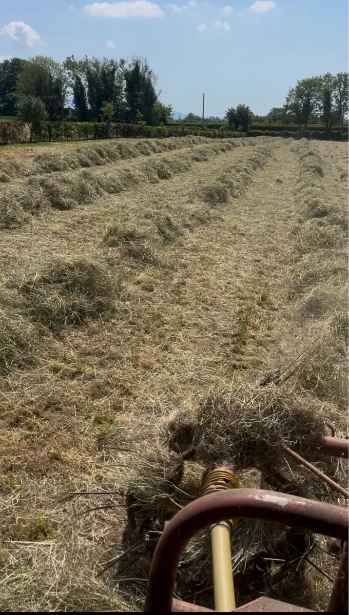 Square bales - Image 1