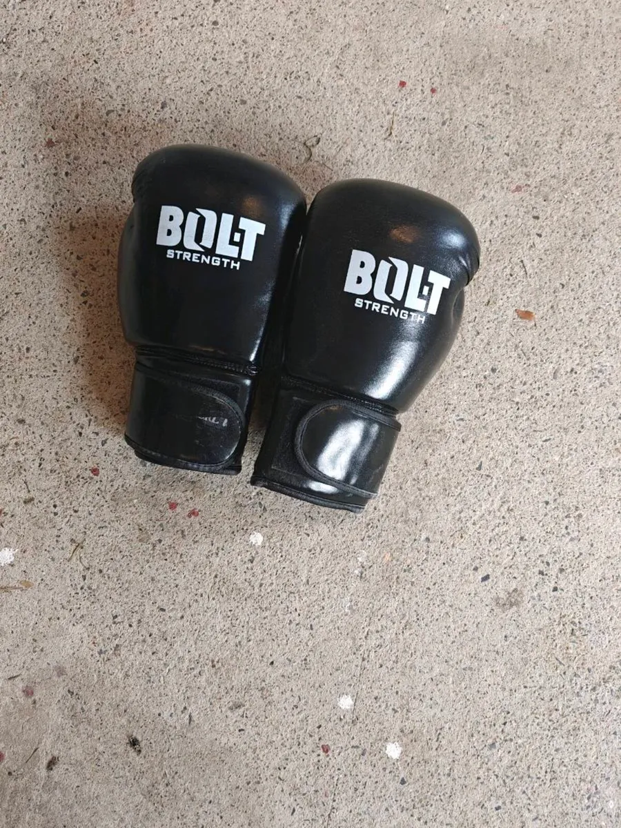 Boxing bag - Image 2
