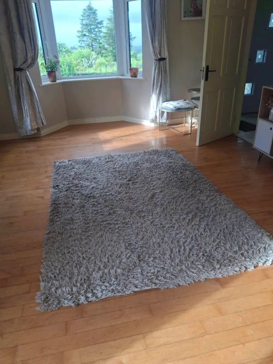 Large rug - Image 1