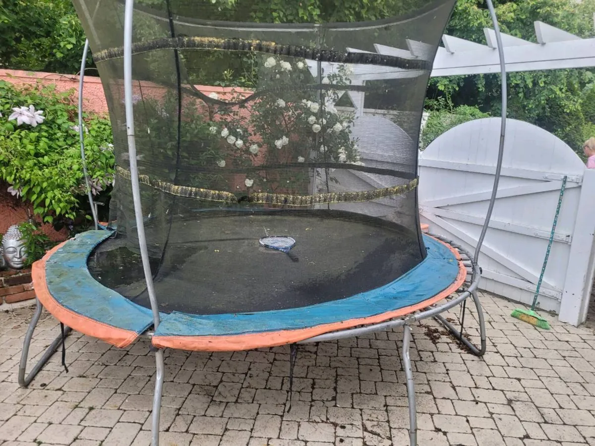 FREE trampoline - Image 1