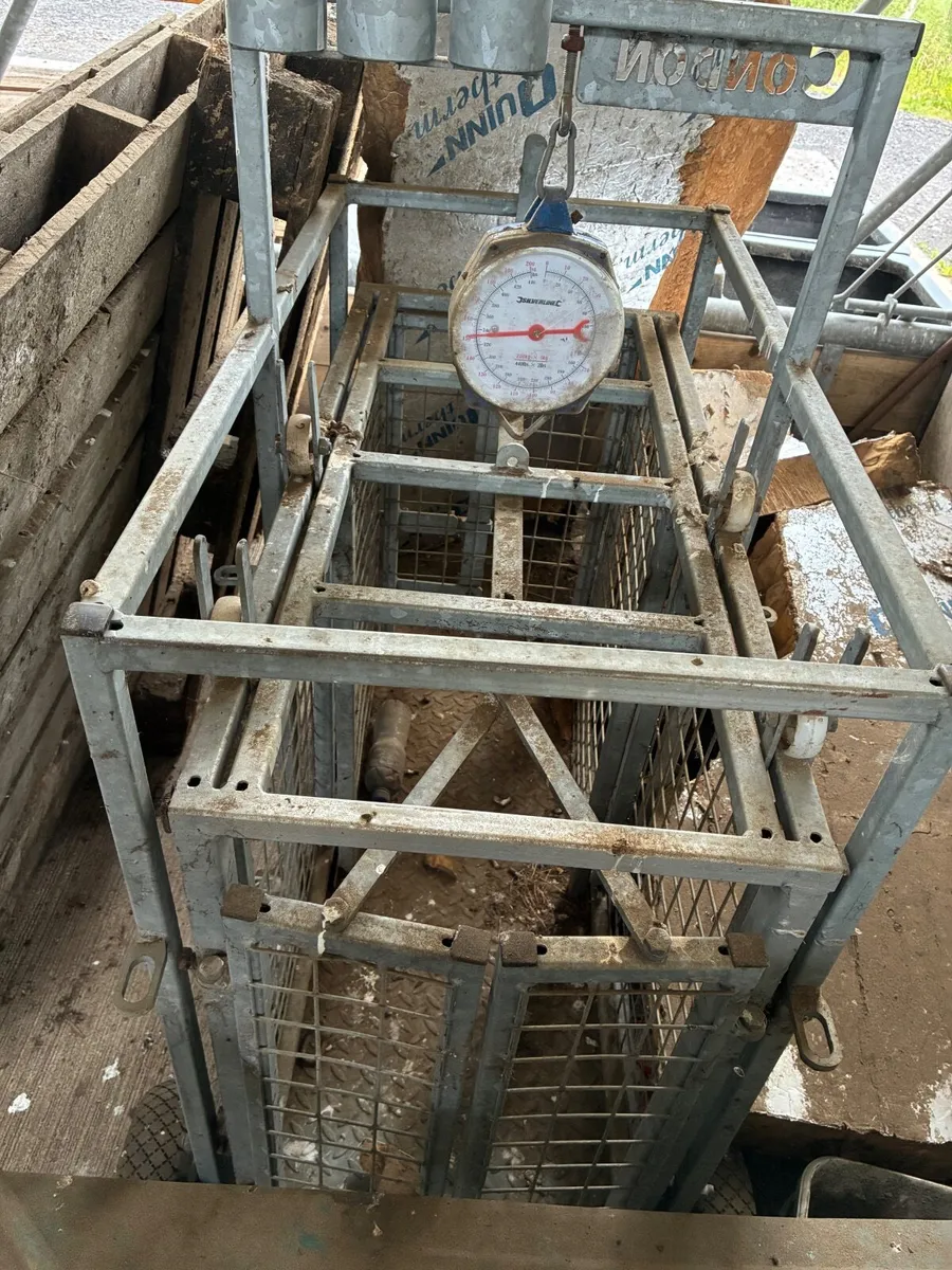 Sheep and lamp weighing scale - Image 1