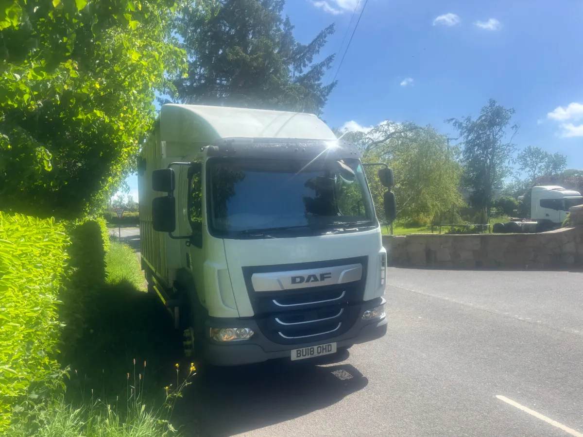 Daf lf tri star horse lorry - Image 3