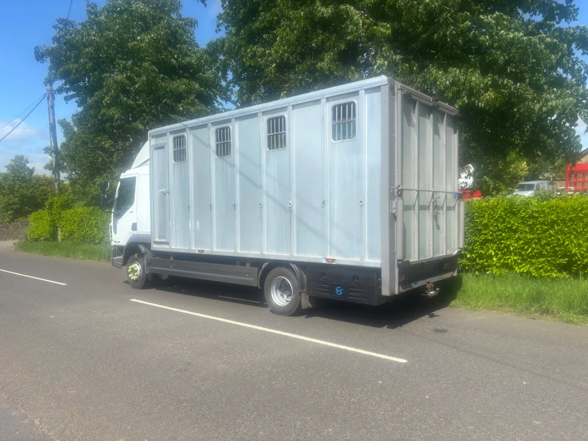 Daf lf tri star horse lorry - Image 4