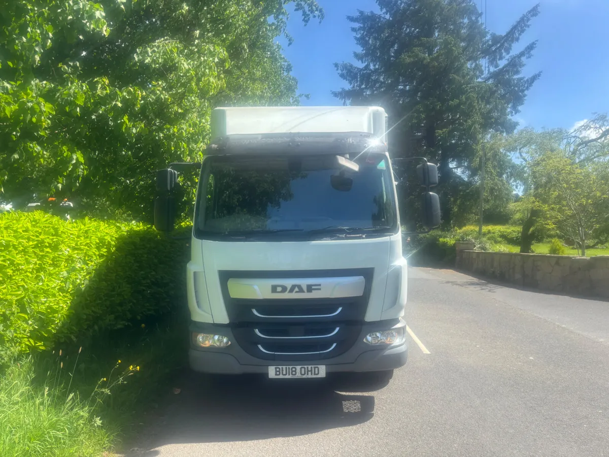 Daf lf tri star horse lorry - Image 2