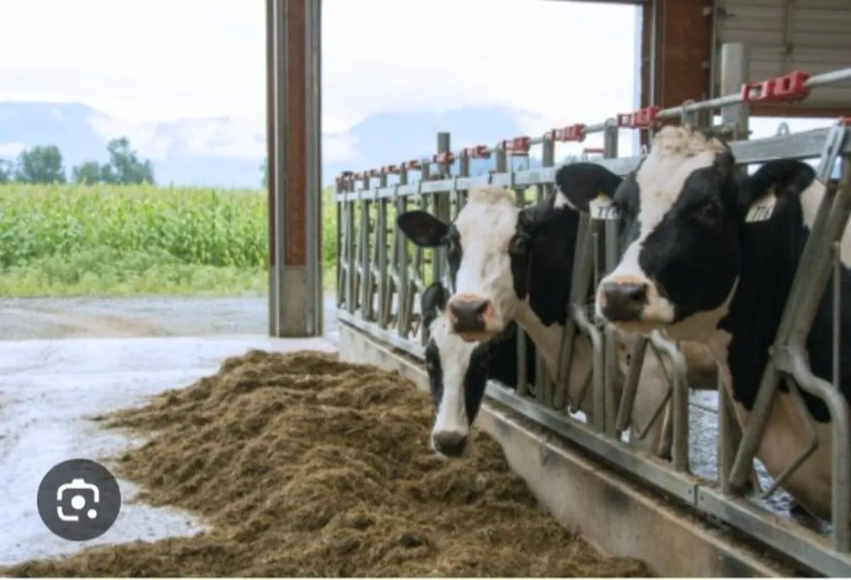 Relief Milker - Image 1