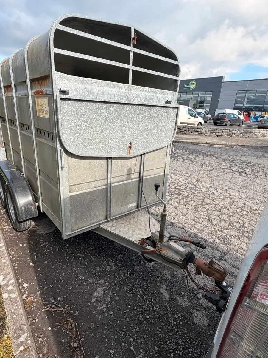 Cow/sheep trailer - Image 4