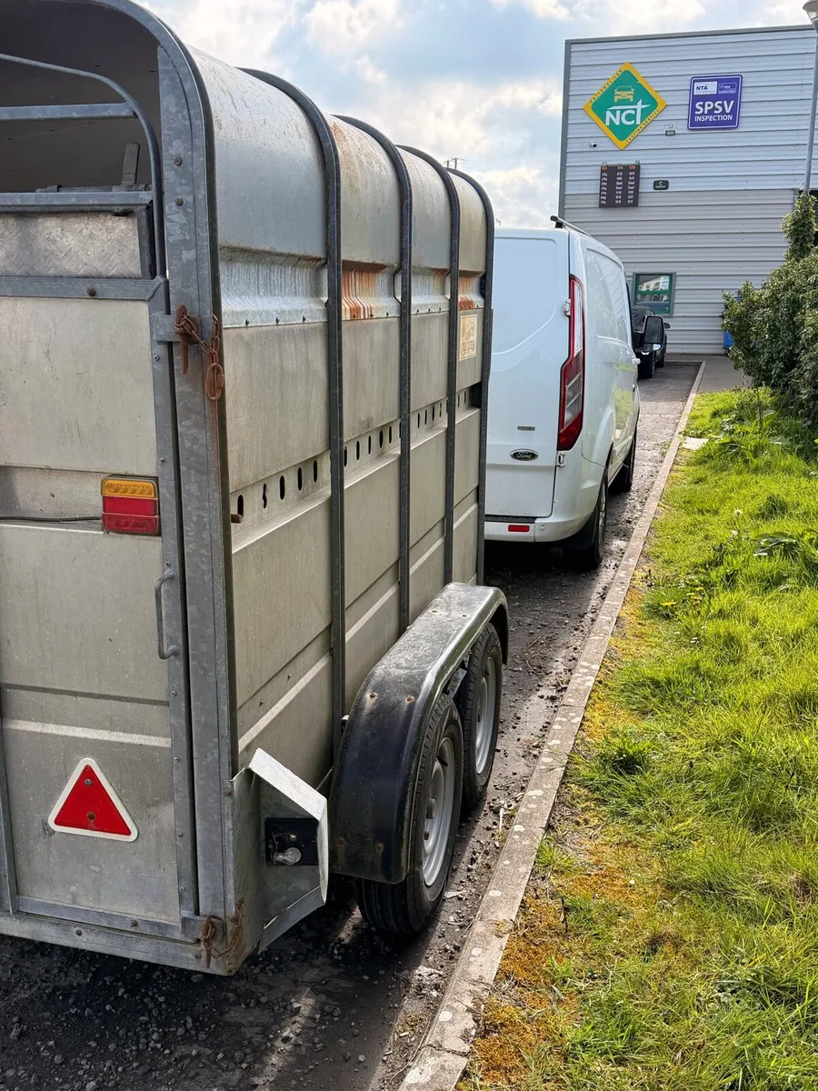 Cow/sheep trailer - Image 2