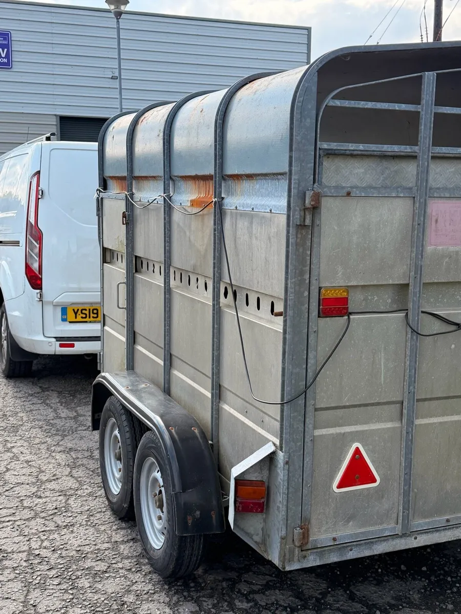 Cow/sheep trailer - Image 3