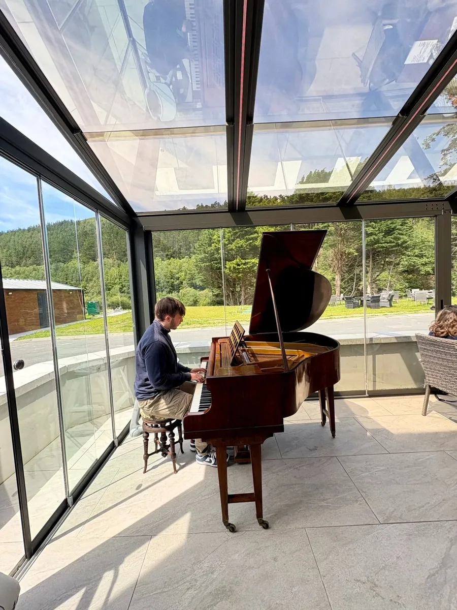 Baby Grand Piano - Image 2