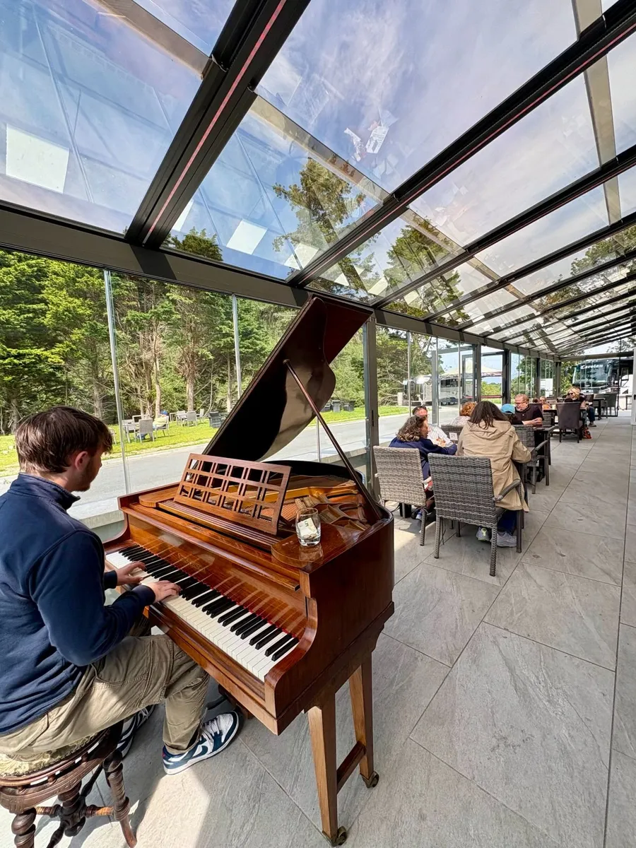 Baby Grand Piano - Image 1