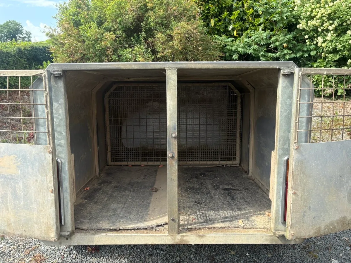 Dog trailer - Image 3