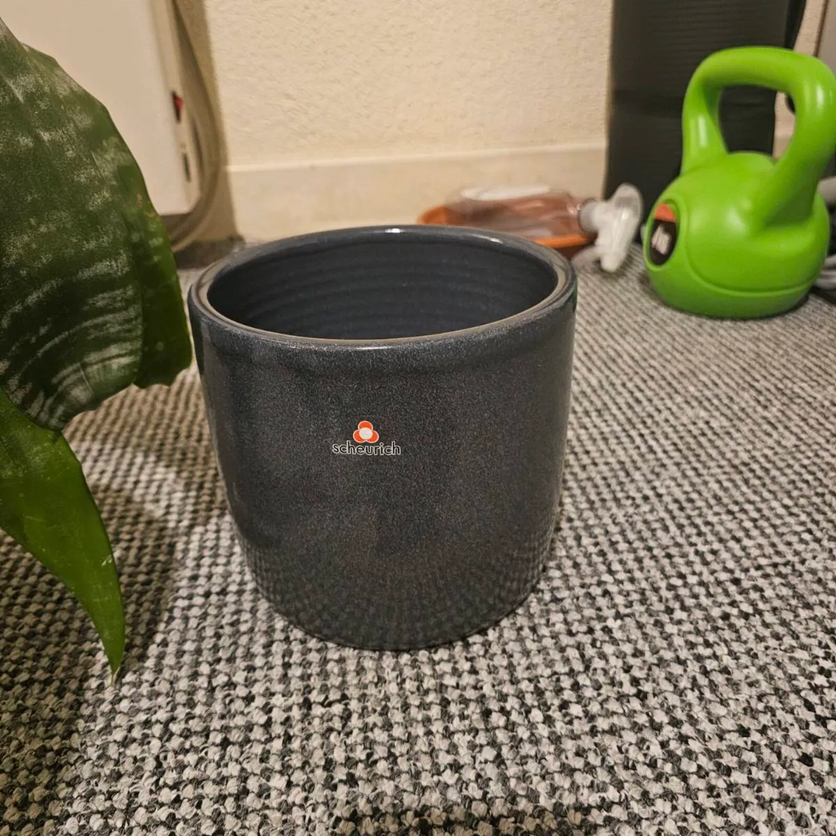 Indoor plant - Image 3