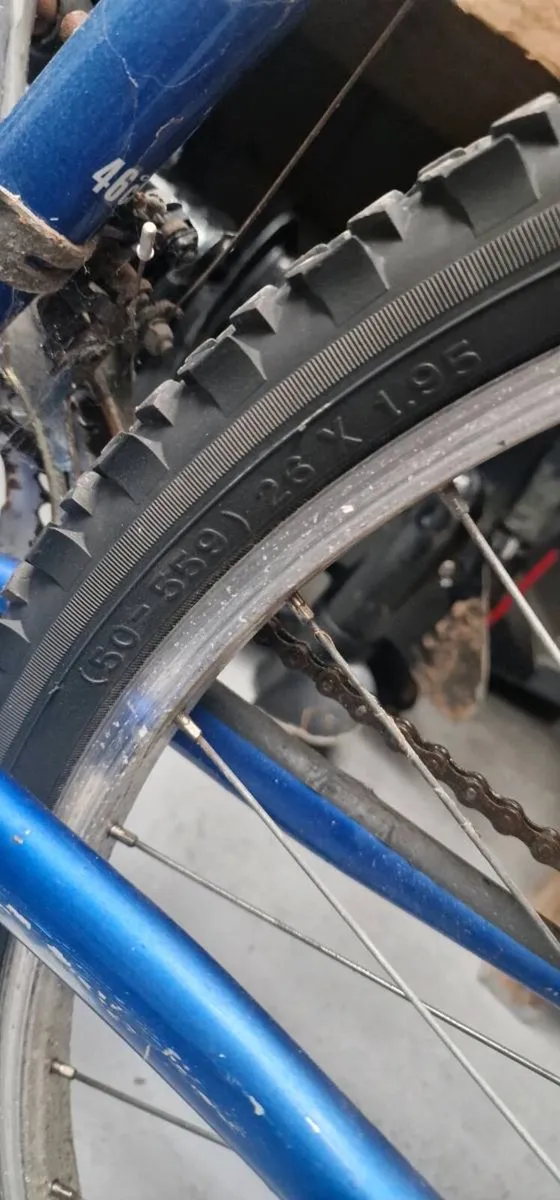 Bicycle - Image 2