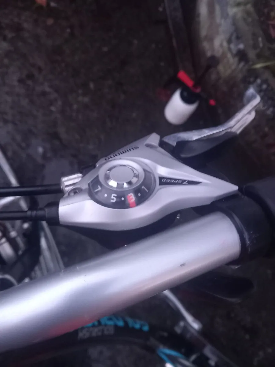 Bike - Image 3