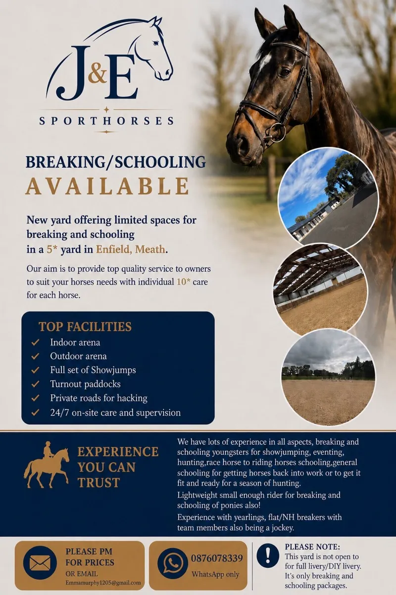 Breaking and schooling available - Image 1
