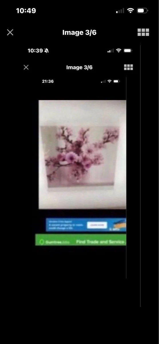 Framed Floral prints - Image 3