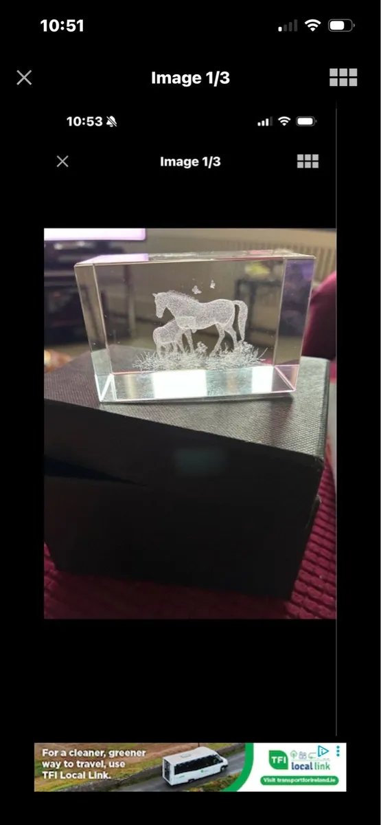 Etched Glass Horse Display - Image 1