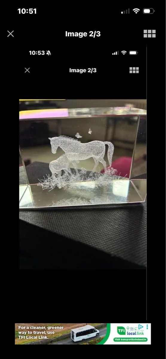 Etched Glass Horse Display - Image 2
