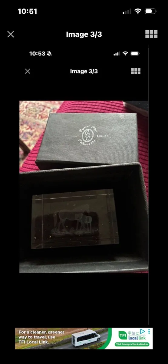 Etched Glass Horse Display - Image 3
