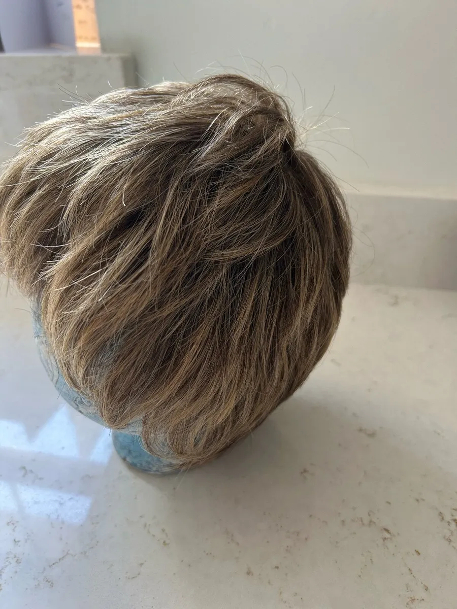 Raquel Welch Wig & Ellen Willie Hair Halo - Image 4
