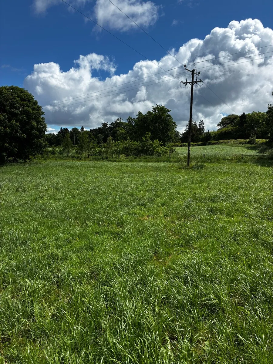 50 acres of Silage