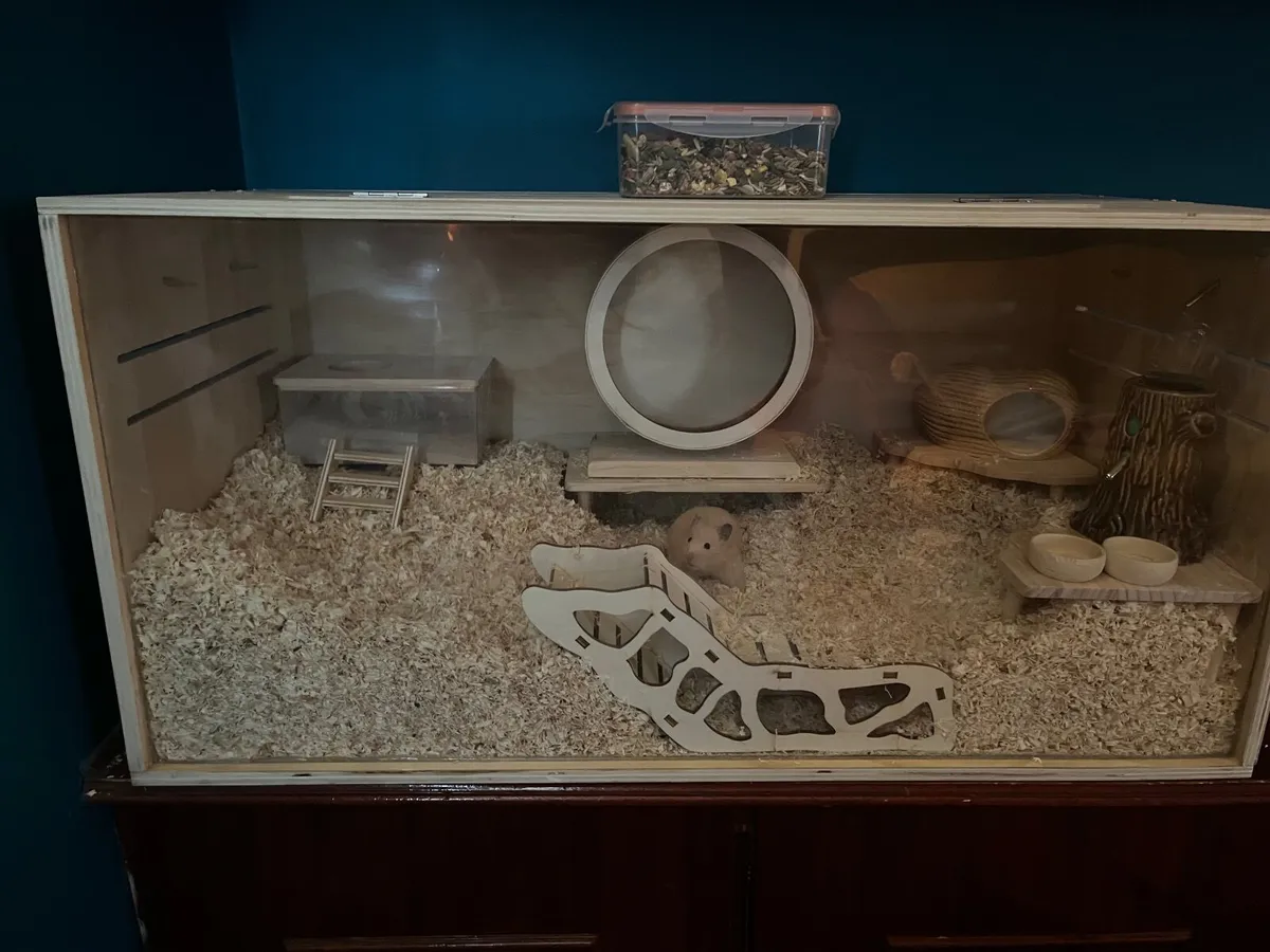 Hamster set up - Image 2