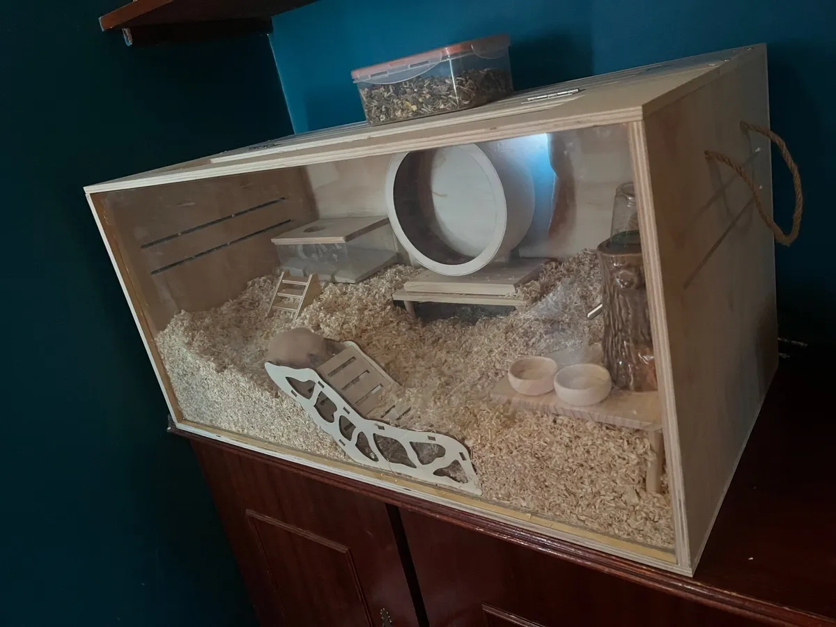 Hamster set up - Image 3