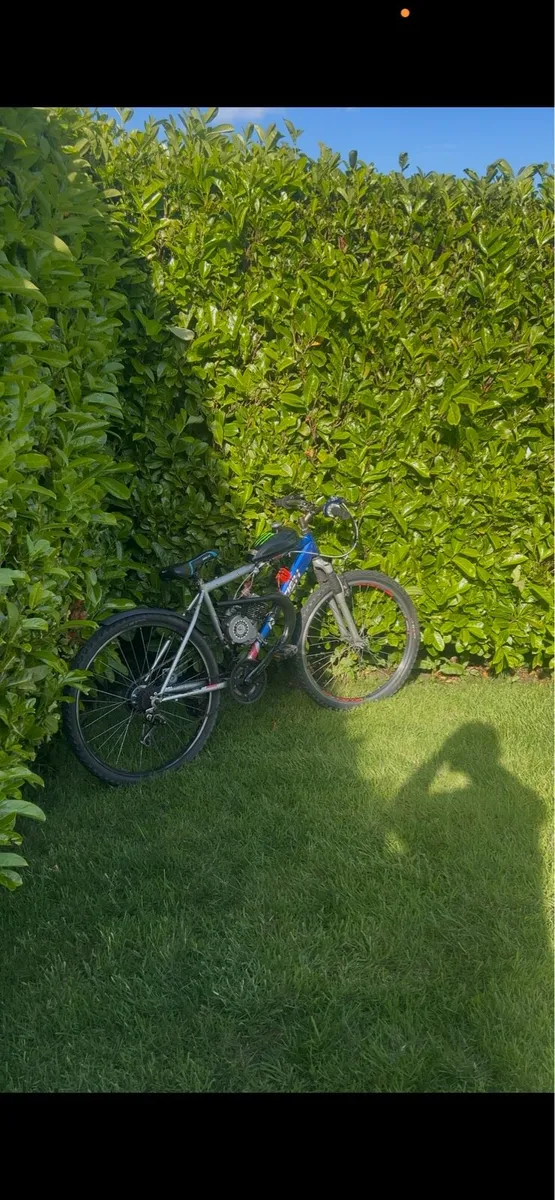Ld80 motorised bike - Image 2