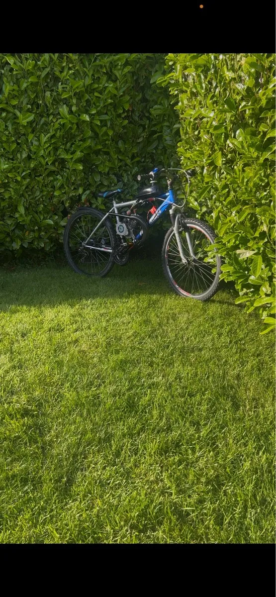 Ld80 motorised bike - Image 1