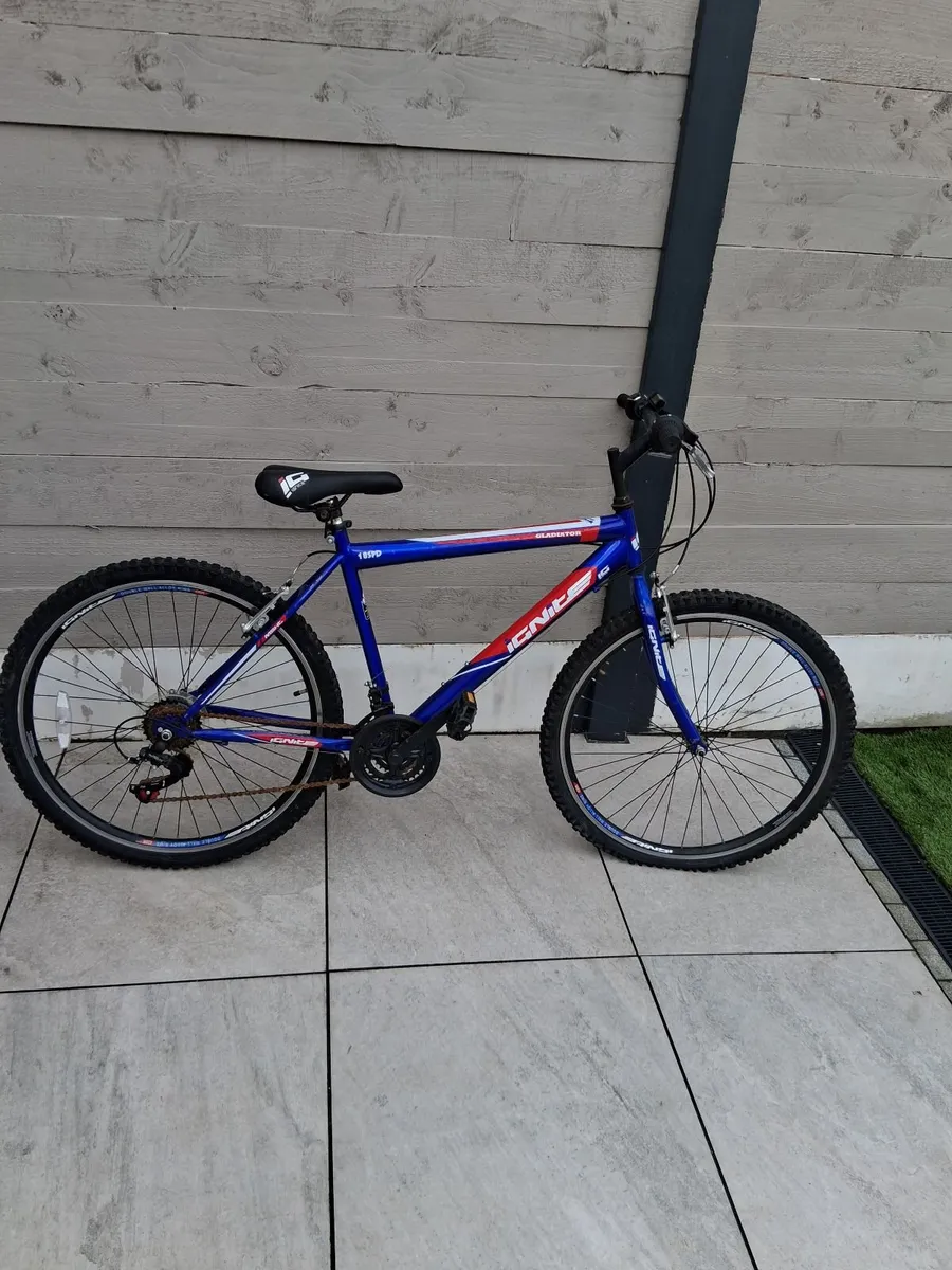 Mountain Bike - Image 1