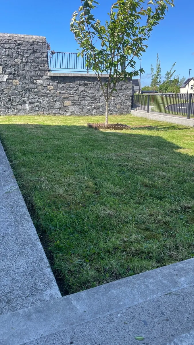 Don't Waste Your Weekend Cleaning Garage or Garden - Image 4